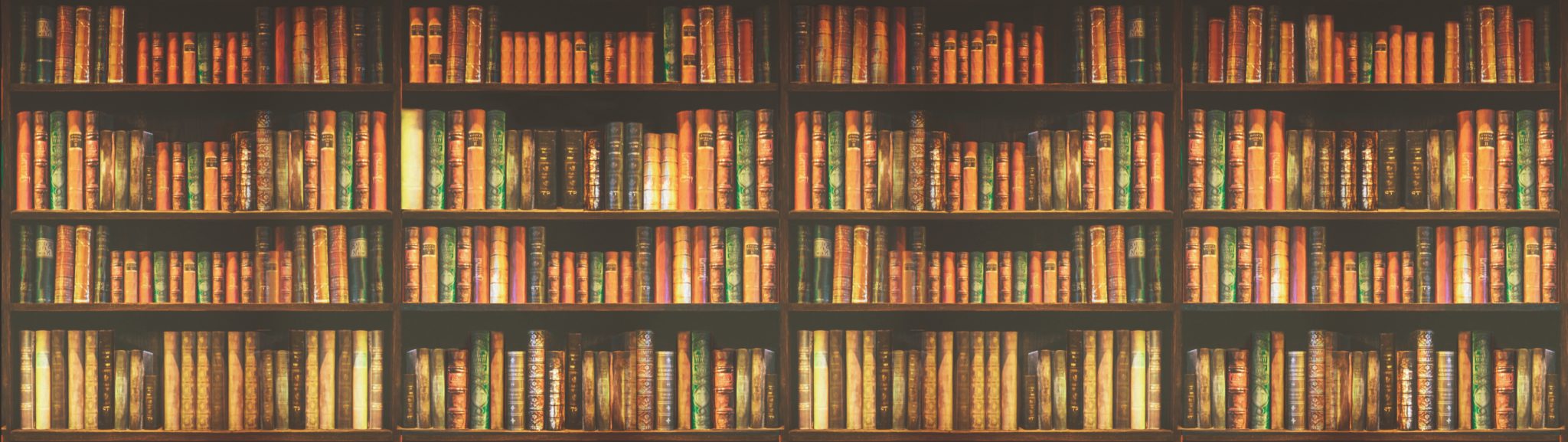 Image of a library bookshelf; courtesy of Shutterstock.
